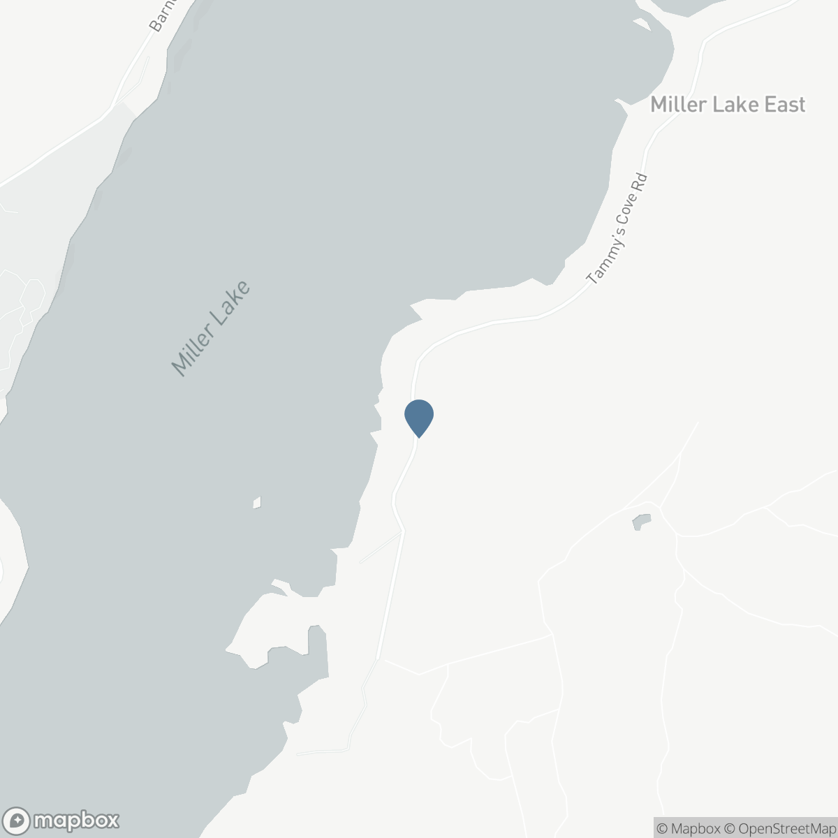 313 TAMMY'S COVE ROAD, Lion's Head, Ontario N0H 1W0